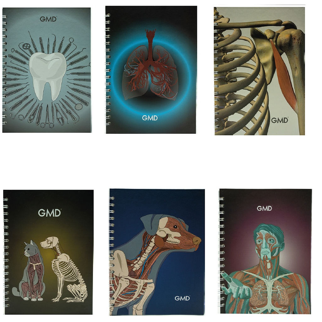 CUADERNO ARGOLLADO GMD